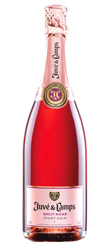 Juve & Camps Brut Rosé 75cl.